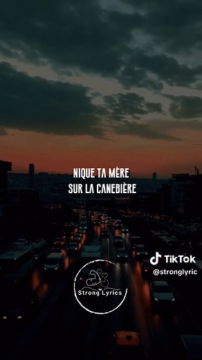 Bande Organisée: French and English Lyrics Explained