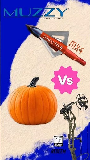 Muzzy MX-4 vs. Pumpkin: 4-Blade Broadhead Impact Test! 🎃🏹