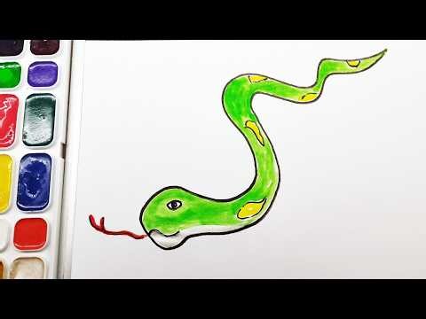 How to draw a Snake | Step by step