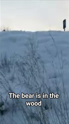 Run Chicken - Rok LeVieux original song