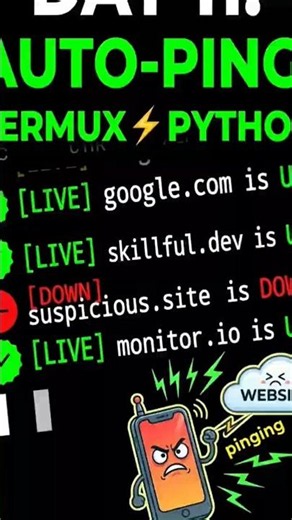 Automate Your Pings with Python & Termux! ⚡
