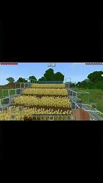 plantação automática de trigo,no Minecraft Pe!!!