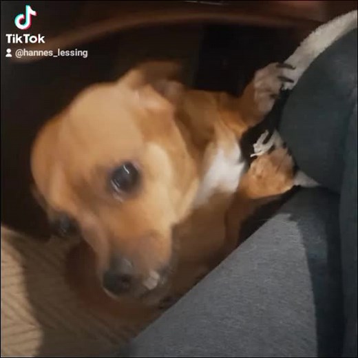 Hannes_JDB on TikTok