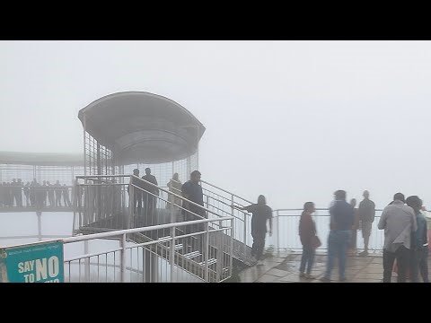 live driving #bunny #rabbit #funny #animals #trending #views #subscriber #shorts