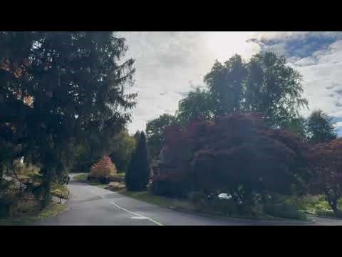 Mount Auburn Cemetery/奥本山公墓/Cmentarz Mount Auburn/Cementerio Monte Auburn