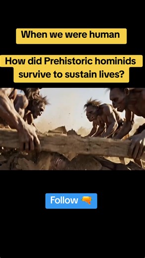 when we were human series #humanevaluation #earlyhumans #hominidshistory #hominidshistory