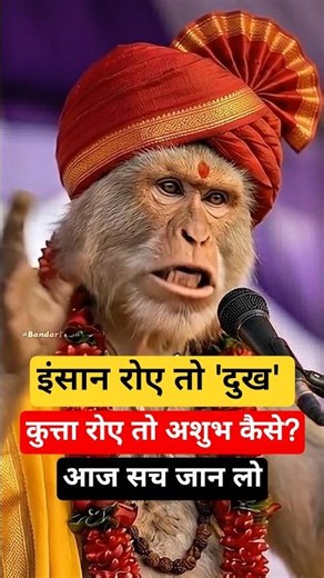 रात को कुत्ता क्यों रोता है? अशुभ या अंधविश्वास! #aimonkey #bandarbaba #nobatidao #ai