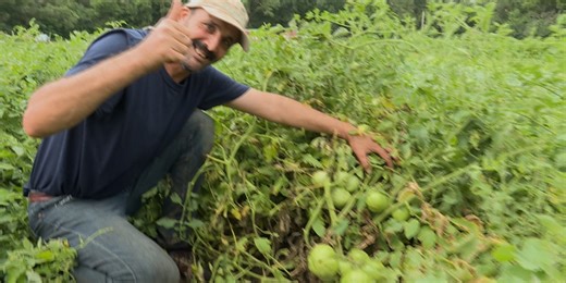Community Crops providing opportunities for new Americans to build farming businesses