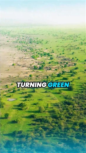 5 Unbelievable Facts about the Sahara Desert #sahara #saharadesert | EverythingExplained