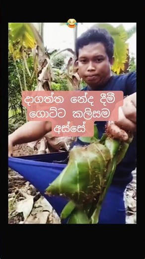 හොඳ වැඩේ 🥰🥰🥰#dancerlife#danceartistry#dance#lovedance#trenddancetiktok#danching#shorts