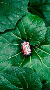 5.5K views · 58 reactions | TTARTISAN M01 On-Camera Flash with Sony Alpha 7C II. Shot by: 阿光不太想出门 #ttartisan #ttartisanaccessories #ttartisanm01 #Sony #sonyalpha #photographygear #flashphotography #retrodesign #creativelighting #newarrival #photography #CameraGear #vintagestyle #vintagevibes #retrogear | TTArtisan | Facebook