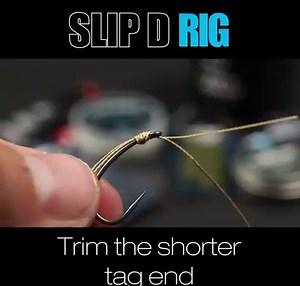 439K views · 2.8K reactions | Looking for a fantastic wafter rig? Learn how to tie The Slip D Rig with #NashKnowHow. | Nash Tackle | Facebook