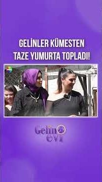 Gelinlerin yumurta toplama macerası! | #shorts #gelinevi
