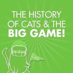 40 reactions · 13 shares | It’s not often that a team with a cat in its name makes it to the NFL Championship. To celebrate, we’re sharing a litter history of CATS & THE BIG GAME.   | World's Best Cat Litter | Facebook