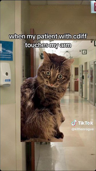 Nurse Humor: When My Patient with Cdiff Touches My Arm
