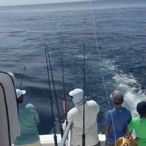 Catching Mahi-Mahi 101. Check it out!!! Step by Step: Cast Out, Reel In & Hook UP!! Awesome time catching these down in Guatemala. | Fishingfins