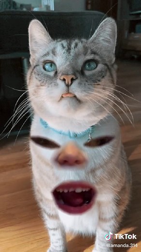 Amanda Clayton Patto (@amanda.314)’s videos with original sound - Tremane Neal