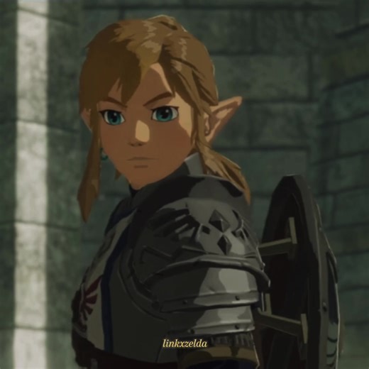new edit😏 (sorry I haven’t posted in a while!) #ILOVELINK #fypp #zeldaedit #totk #botw #linkkkk #dontflopplz