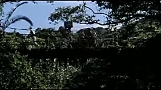 (1962) King Kong vs. Godzilla