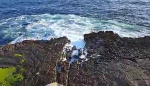 11K views · 439 reactions | ARAN ISLANDS, The unexpected benefits of...