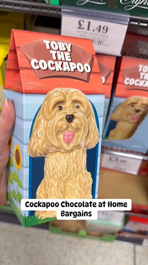 4.1K views | Cockapoo Chocolate at Home Bargains..! | Money Saver By Dansway | Facebook