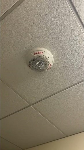 System Sensor Spectralert Advance SPSCW Speaker Strobe