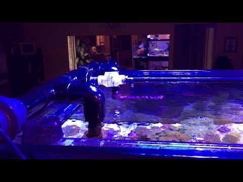 The reversed check valve explained