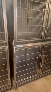 85K views · 3.1K reactions | The puppy room at The City of Mobile...