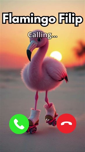 Flamingo Filip 🦩 is Calling 🦩🛼☎️