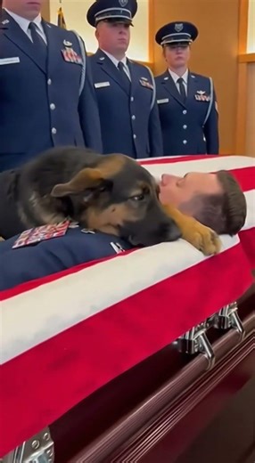 He Never Left His Partner