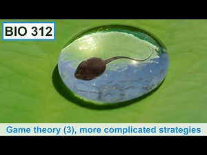 Game theory (3), more complicated strategies and equilibria.