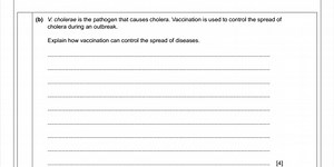 (b) V. cholerae is the pathogen that causes cholera. Vaccinatio... | Filo