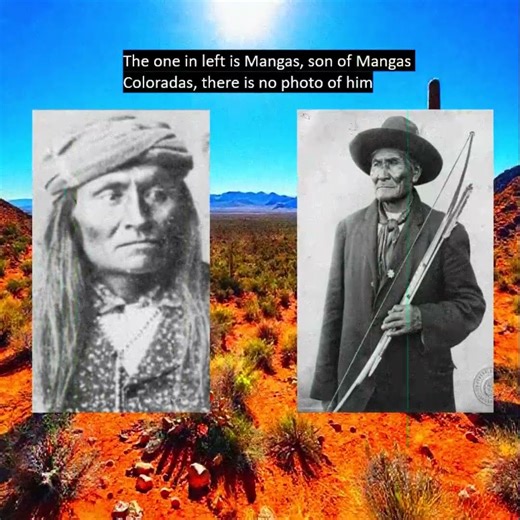 Bedonkohe apache definition