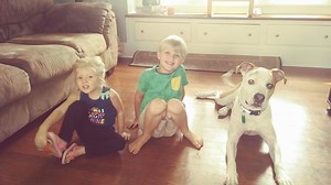 Dogs and decompression