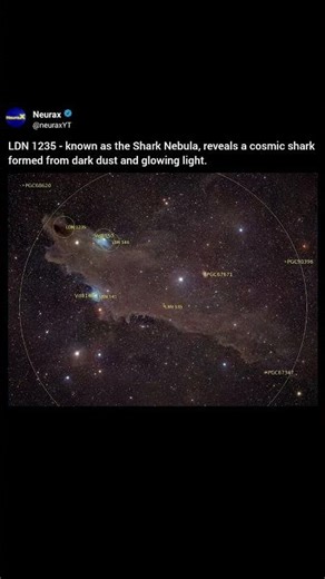 Shark Nebula: Cosmic Predator in Deep Space