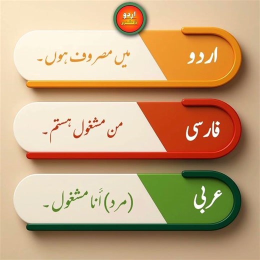 How to say "I am Busy" in 3 Languages (Urdu, Arabic, Persian) 🌍 #Shorts