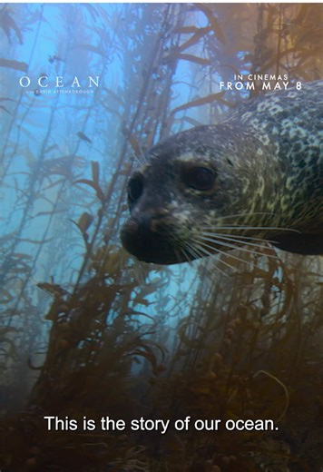 Special Screening of Ocean with David Attenborough