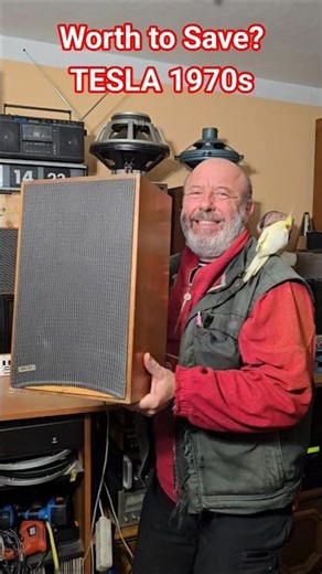 Retro Tesla: Unexpected 70s Sound System!