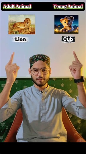 Animals and their BABIES names in English 😍 #sindheducation #english #shorts