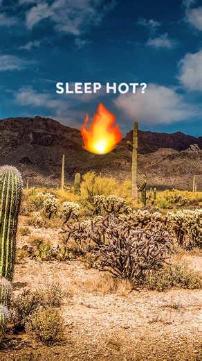 255K views · 210 reactions | Extra-EXTRA-comfy, super-cooling ZZZs? Every night?! You’re dreaming… about ☁️✨Sealy® Posturepedic® Plus✨☁️ Shop our best-in-class collection: bit.ly/sealyposturepedicplus | Sealy Mattress | Facebook