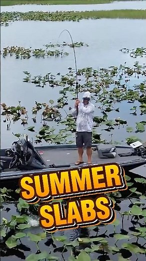 Last Shellcracker of the 2025 spawning season! #bluegill #shellcracker #fish #crappie #fishing #fyp