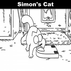 68K views · 2.1K reactions | Special episode about Simon the cat #cat #catlife #catlover #simonscat #FunnyCats #catvideos | Love Cats | Facebook