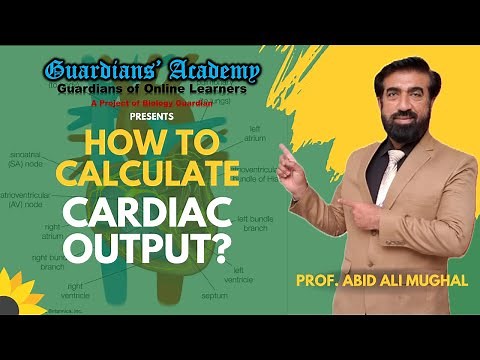 How to Calculate Cardiac Output | Stroke Volume & Heart Rate | NMDCAT-2025 Biology | Ramadan Special
