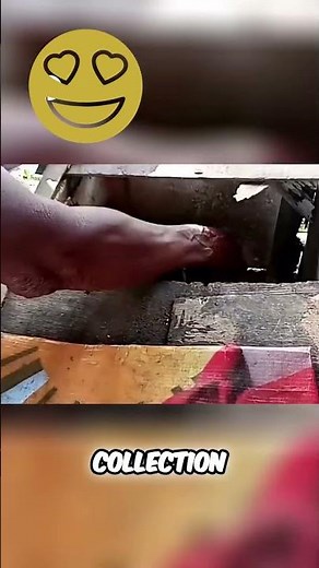 "A Day in the Life of a Chicken Farmer 🐔 | Backyard Chicken Farming 101"