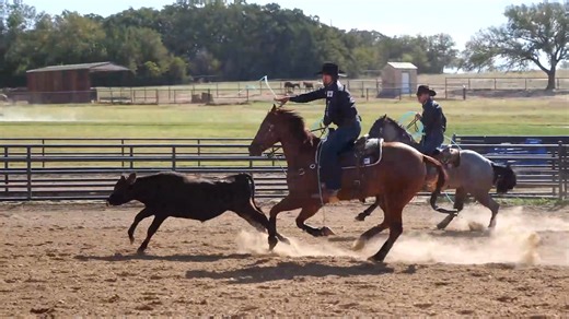 16K views · 224 reactions | 홒홝홖황 홍홤홥홚홧홨 홂홚황 홒홧홤홣활 혼홗홤홪황 홍홤홥홞홣활 홈홪홡홚홮홨—혼홣홙 홃홤홬 황홤 홁홞홭 홄황 If you’re figure-eighting muleys or missing altogether, your target might be the problem. In this quick tip brought to you by Cactus Ropes, Trevor Brazile - The Official Fan Page shares how slight adjustments to your target and swing can make all the difference. | The Team Roping Journal Magazine | Facebook