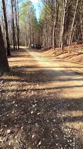 Mini E-Revo has some speed😳 #erevo #rc