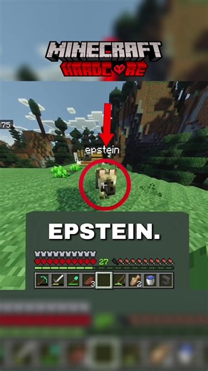 that was the top comment so 🤷 #fyp #minecraft #hardcore #bedrock #viral