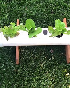 223K views · 817 reactions | Want a garden but don’t have enough...