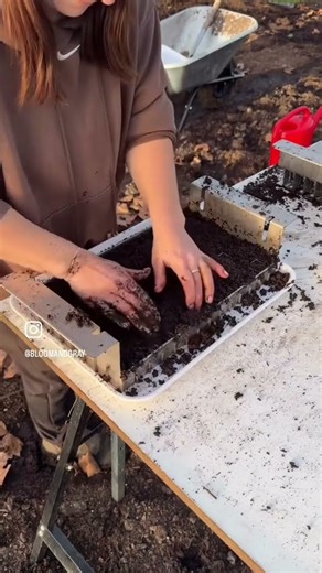 No need for complex soil blocking recipes. Simply wet your favourite seed starting mix! 🌱💚