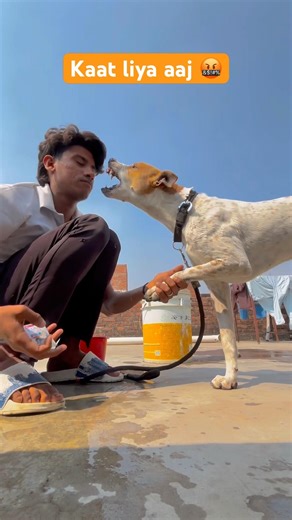 Kaat liya aaj rocky 🤬😱